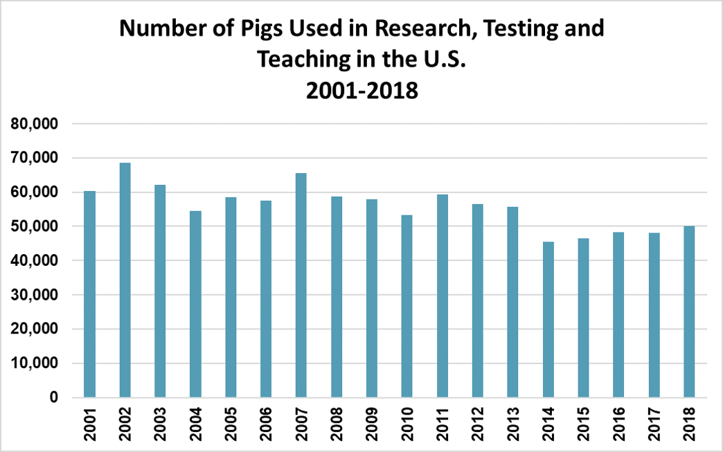 Chart - Pigs Used in Research