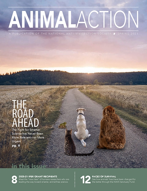 Animal Action Report - Spring 2021