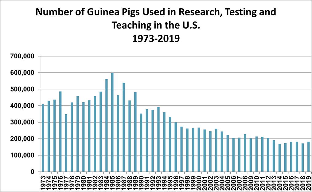 Chart - Guinea Pigs Used in Research