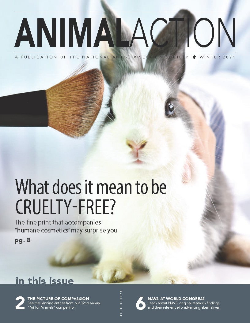 Animal Action Report - Winter 2021