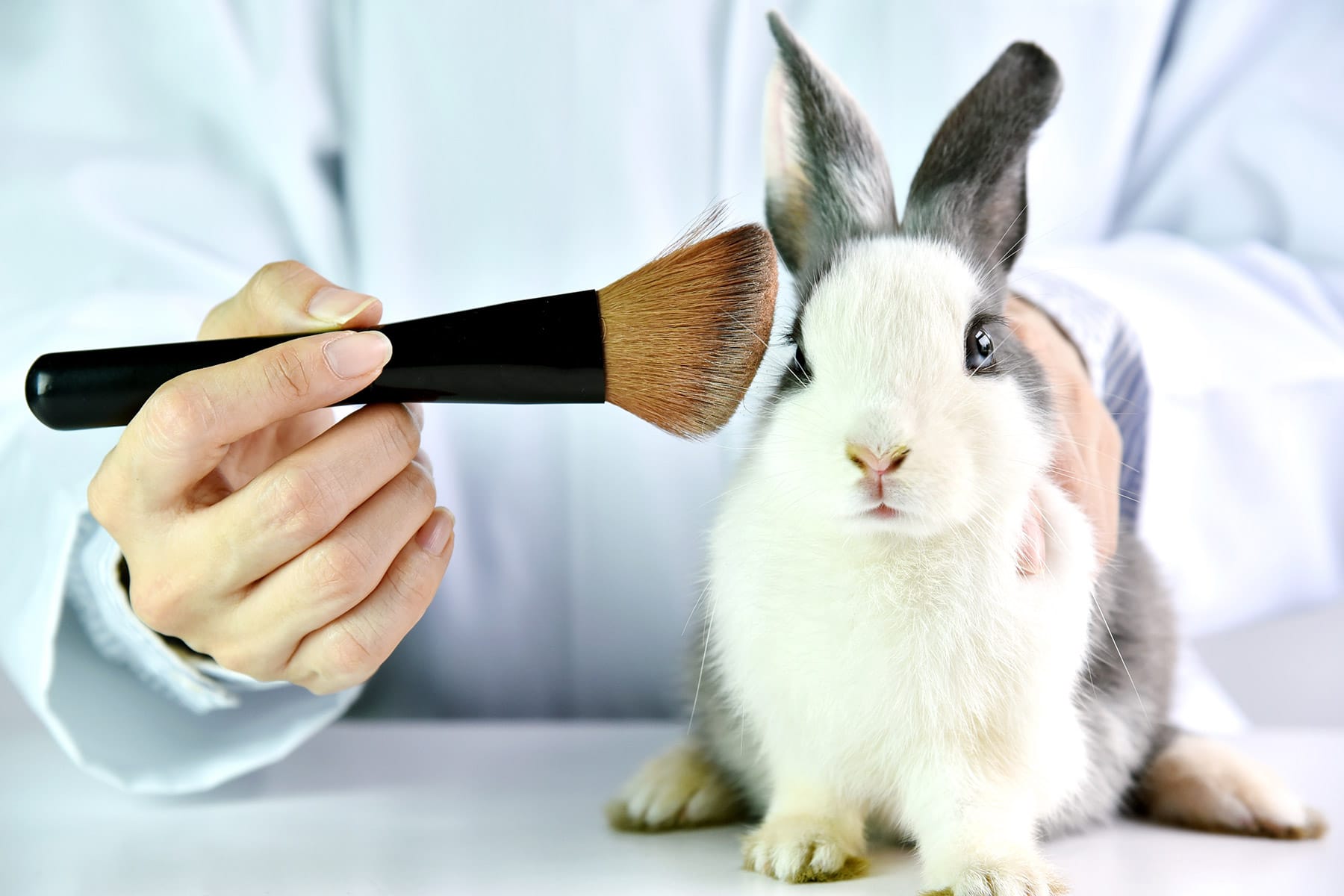 Bunny with Cosmetics Brush