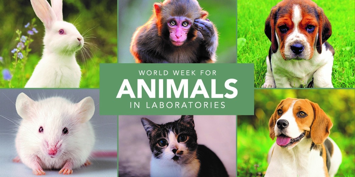 World Week for Animals