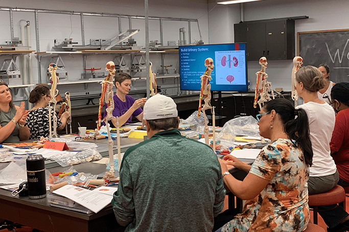 Classroom of people studying human anatomy