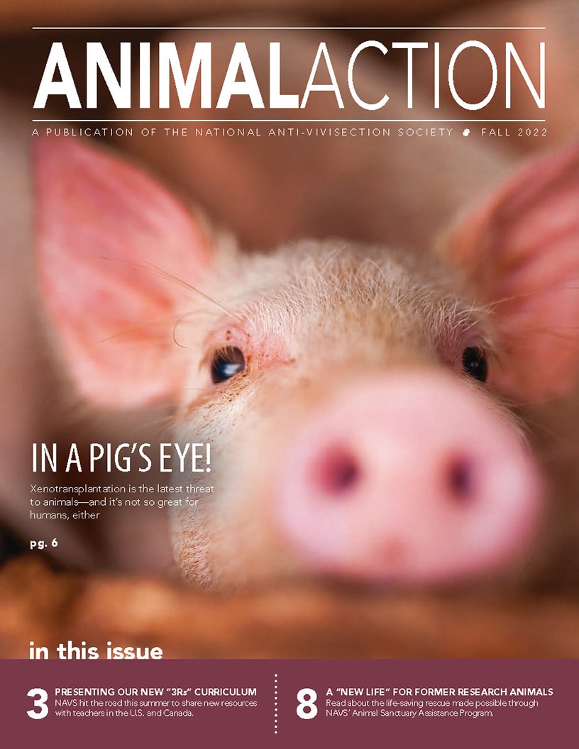 Animal Action Report - Fall 2022