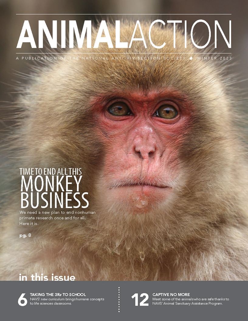 Animal Action Report - Winter 2023