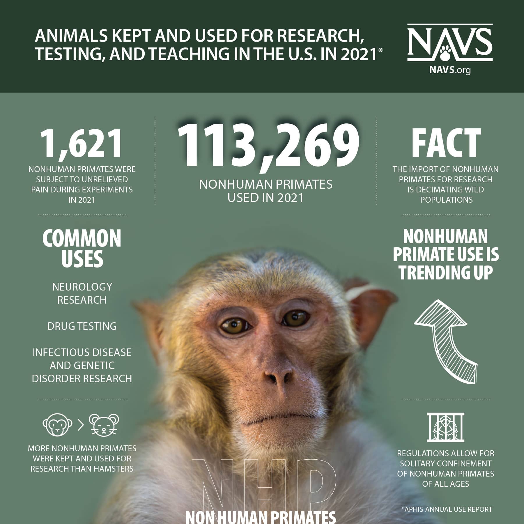Infographic: Nonhuman Primates in Research