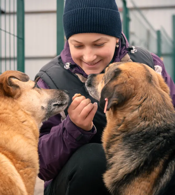 dropdown woman dogs feeding treats